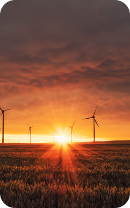 Windräder im Sonnenuntergang